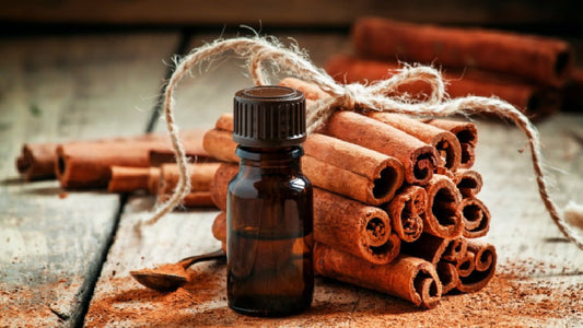 Zimt Parfum: Perfekter Duft für die Winterzeit - Kazaar