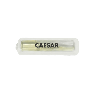 REFILL CAESAR